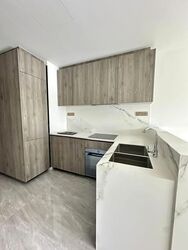 Leedon Green (D10), Condominium #422396181